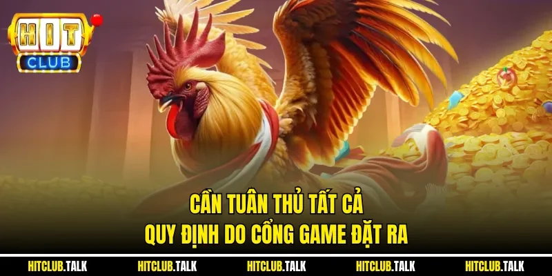 Cần tuân thủ tất cả quy định do cổng game đặt ra 