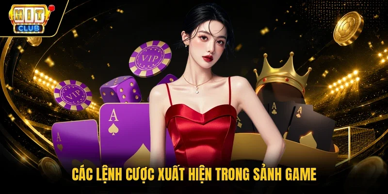 Các lệnh cược xuất hiện trong sảnh game
